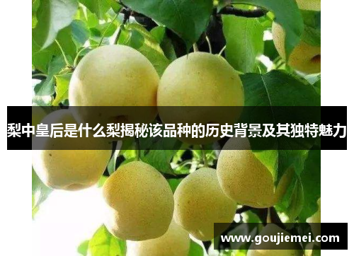 梨中皇后是什么梨揭秘该品种的历史背景及其独特魅力
